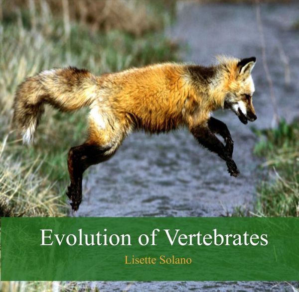 Evolution of Vertebrates (eBook, PDF)