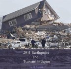 2011 Earthquake and Tsunami in Japan (eBook, PDF)