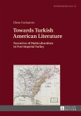 Towards Turkish American Literature (eBook, ePUB)