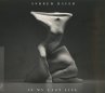 Andrew Bayer - In My Last Life - Bild 1