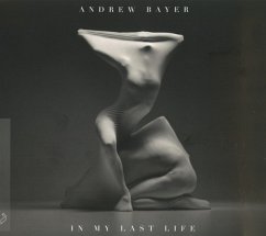 Cover Andrew Bayer - In My Last Life