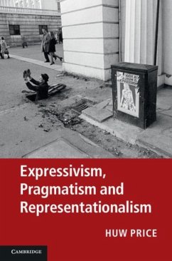 Expressivism, Pragmatism and Representationalism (eBook, PDF) - Price, Huw
