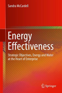 Energy Effectiveness (eBook, PDF) - McCardell, Sandra