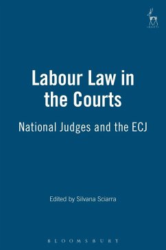 Labour Law in the Courts (eBook, PDF)