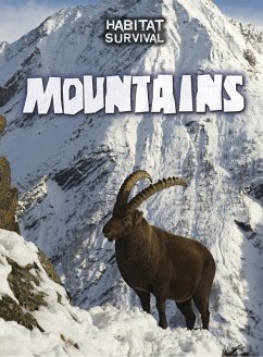 Cover Mountains (eBook, PDF)
