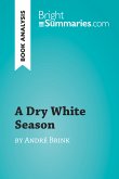 A Dry White Season by André Brink (Book Analysis) (eBook, ePUB)