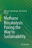 Methane Biocatalysis: Paving the Way to Sustainability (eBook, PDF)