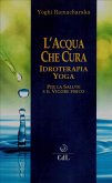 L'Acqua che Cura (eBook, ePUB)