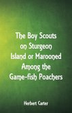 The Boy Scouts on Sturgeon Island