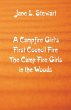 A Campfire Girl's First Council Fire - Bild 1