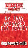 Ny Iray Aminareo Dia Devoly (eBook, ePUB)