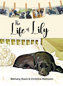 The Life of Lily - Stack, Bethany; Mattsson, Christina