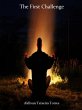 The First Challenge (eBook, ePUB) - Bild 1