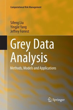 Cover Grey Data Analysis