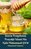 Sistem Pengobatan Penyakit Islami Ala Nabi Muhammad SAW (fixed-layout eBook, ePUB)