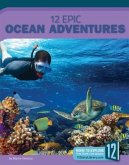 12 Epic Ocean Adventures