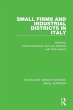 Small Firms and Industrial Districts in... - Bild 1