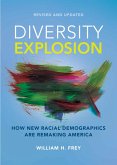Diversity Explosion (eBook, ePUB)