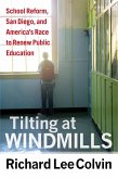 Tilting at Windmills (eBook, ePUB)