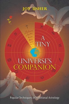 Cover A Tiny Universe'S Companion (eBook, ePUB)