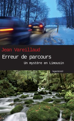 Erreur de parcours (eBook, ePUB) - Vareillaud, Jean