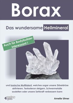 Borax (eBook, ePUB) - Ulmer, Amelie
