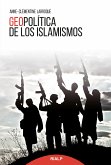 Geopolítica de los islamismos (eBook, ePUB)