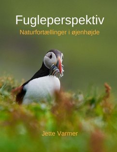 Cover Fugleperspektiv (eBook, ePUB)