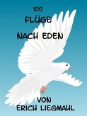 100 Flüge nach Eden (eBook, ePUB)
