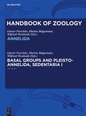 Annelida Basal Groups and Pleistoannelida, Sedentaria I