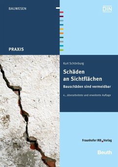 Schäden an Sichtflächen (eBook, PDF) - Schönburg, Kurt