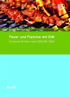 Feuer und Flamme mit DIN (eBook, PDF) - Mühlbauer, Holger