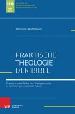 Praktische Bibeltheologie (eBook, PDF)