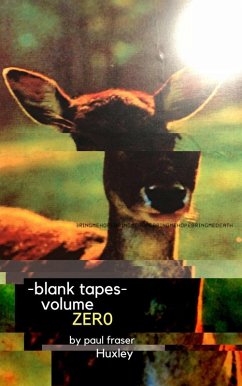 Blank Tapes Volume Zero (eBook, ePUB) - Huxley, Paul