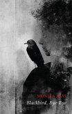 Blackbird, Bye Bye (eBook, ePUB)