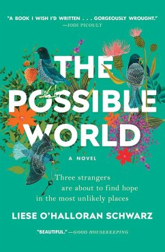 The Possible World (eBook, ePUB) - Schwarz, Liese O'Halloran