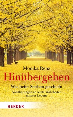 Hinübergehen (eBook, ePUB) - Renz, Monika