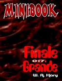 MINIBOOK 017: Finale Grande (eBook, ePUB)