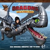 Dragons - Auf zu neuen Ufern 35. Heidruns Entscheidung Dragons - Auf zu neuen Ufern 35. Heidruns Entscheidung