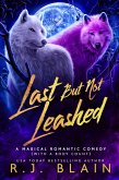 Last but not Leashed (A Magical Romantic Comedy (with a body count), #7) (eBook, ePUB)