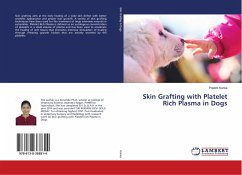Skin Grafting with Platelet Rich Plasma in Dogs - Konka, Preethi