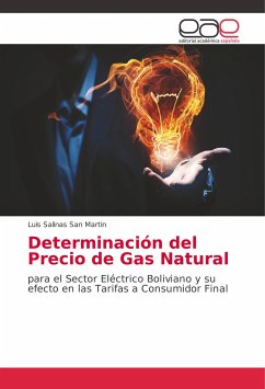 Determinación del Precio de Gas Natural - San Martin, Luis Salinas