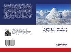 Topological Laws of the Rayleigh Wave Scattering