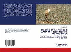 The effect of Rice husk and Wheat offal based diets on the WAD Sheep
