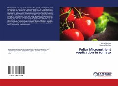 Foliar Micronutrient Application in Tomato