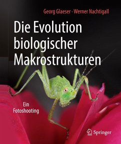 Die Evolution biologischer Makrostrukturen - Glaeser, Georg;Nachtigall, Werner