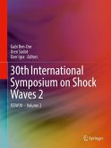 30th International Symposium on Shock Waves 2 (eBook, PDF)