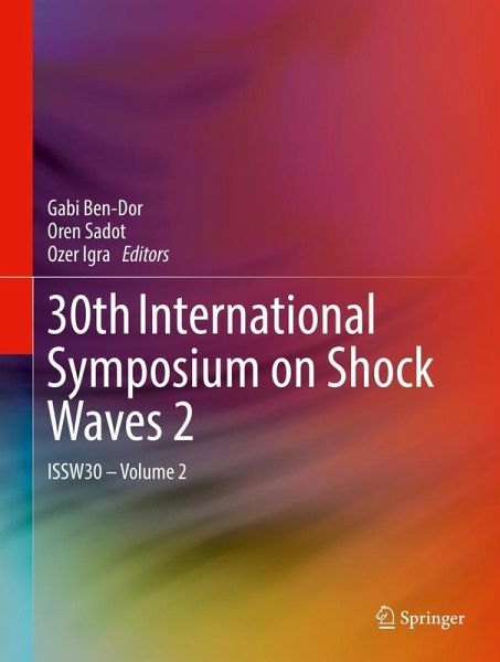30th International Symposium on Shock Waves 2 (eBook, PDF)