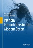 Planktic Foraminifers in the Modern Ocean (eBook, PDF)