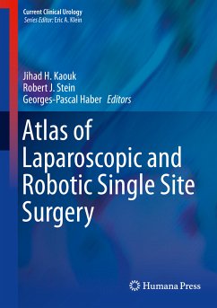 Atlas of Laparoscopic and Robotic Single Site Surgery (eBook, PDF)